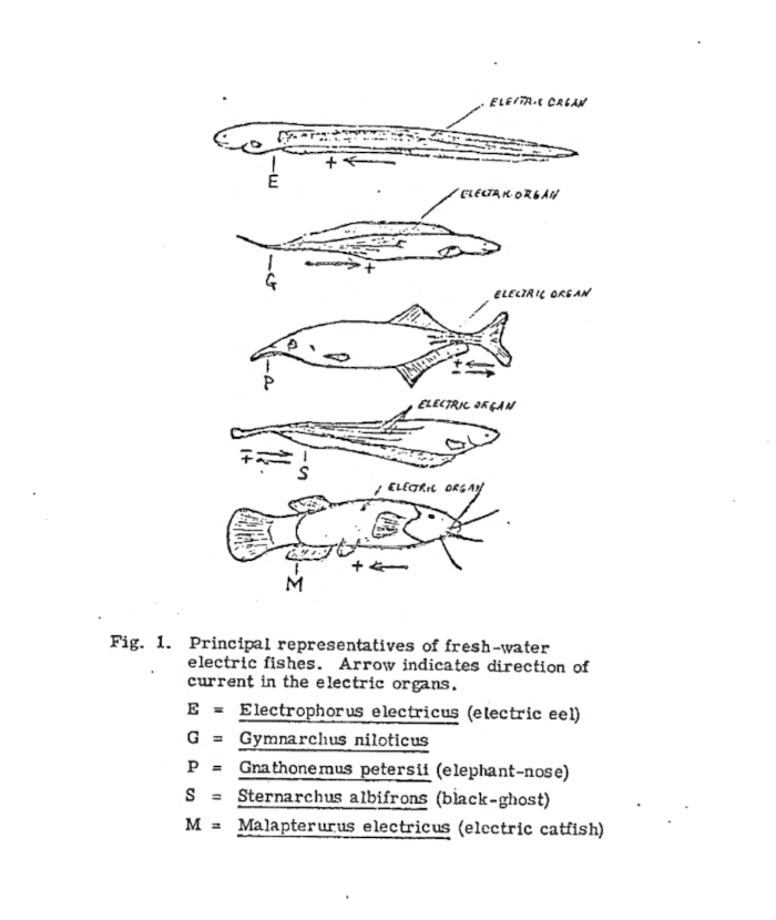 cia mkultra 06 700px