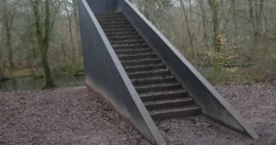 escaliers bois