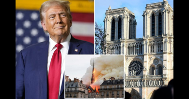 trump notre dame de paris