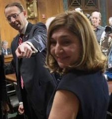 lisa barsoomian