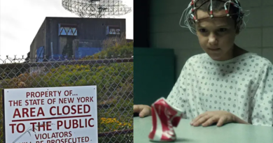 stranger things montauk